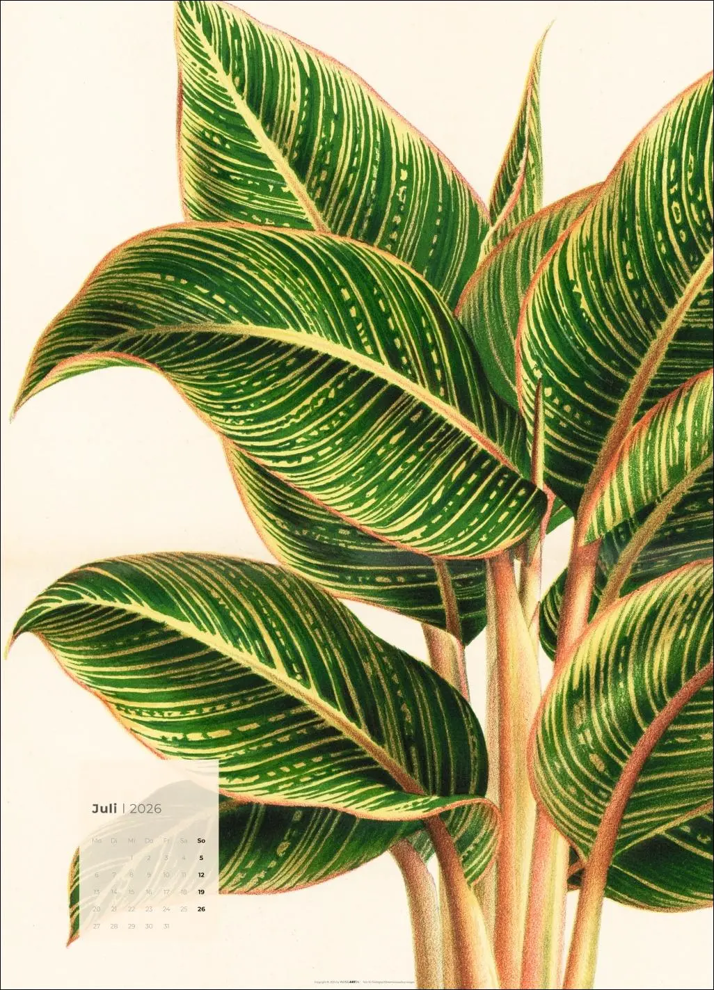 Bild: 9783839902899 | Botanicals Kalender 2026 | Kalender | Spiralbindung | 14 S. | Deutsch