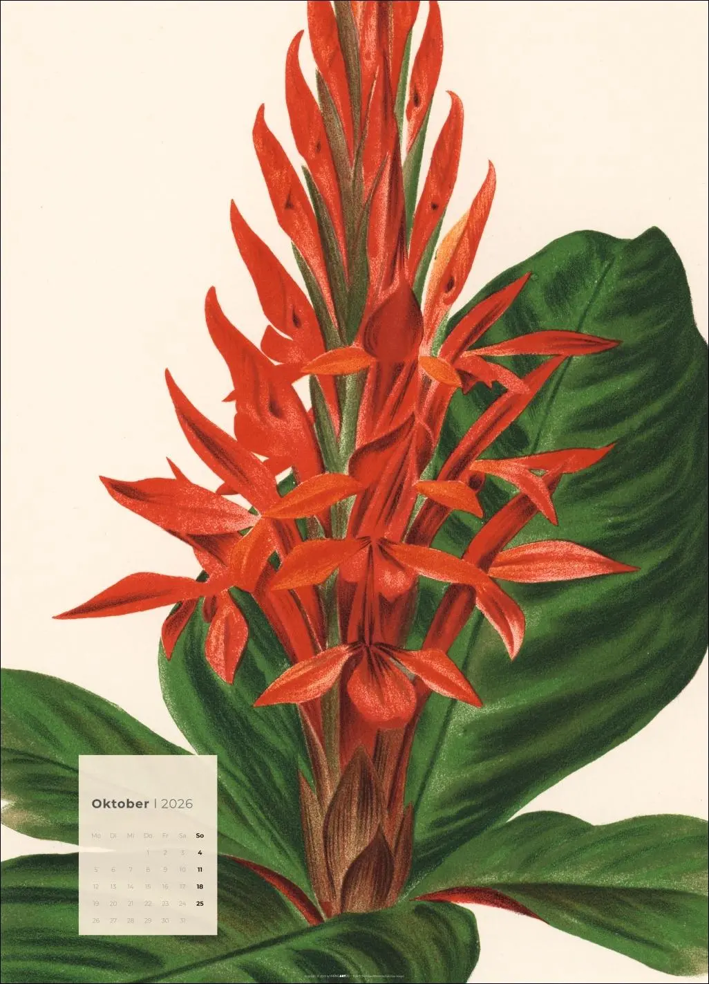 Bild: 9783839902899 | Botanicals Kalender 2026 | Kalender | Spiralbindung | 14 S. | Deutsch