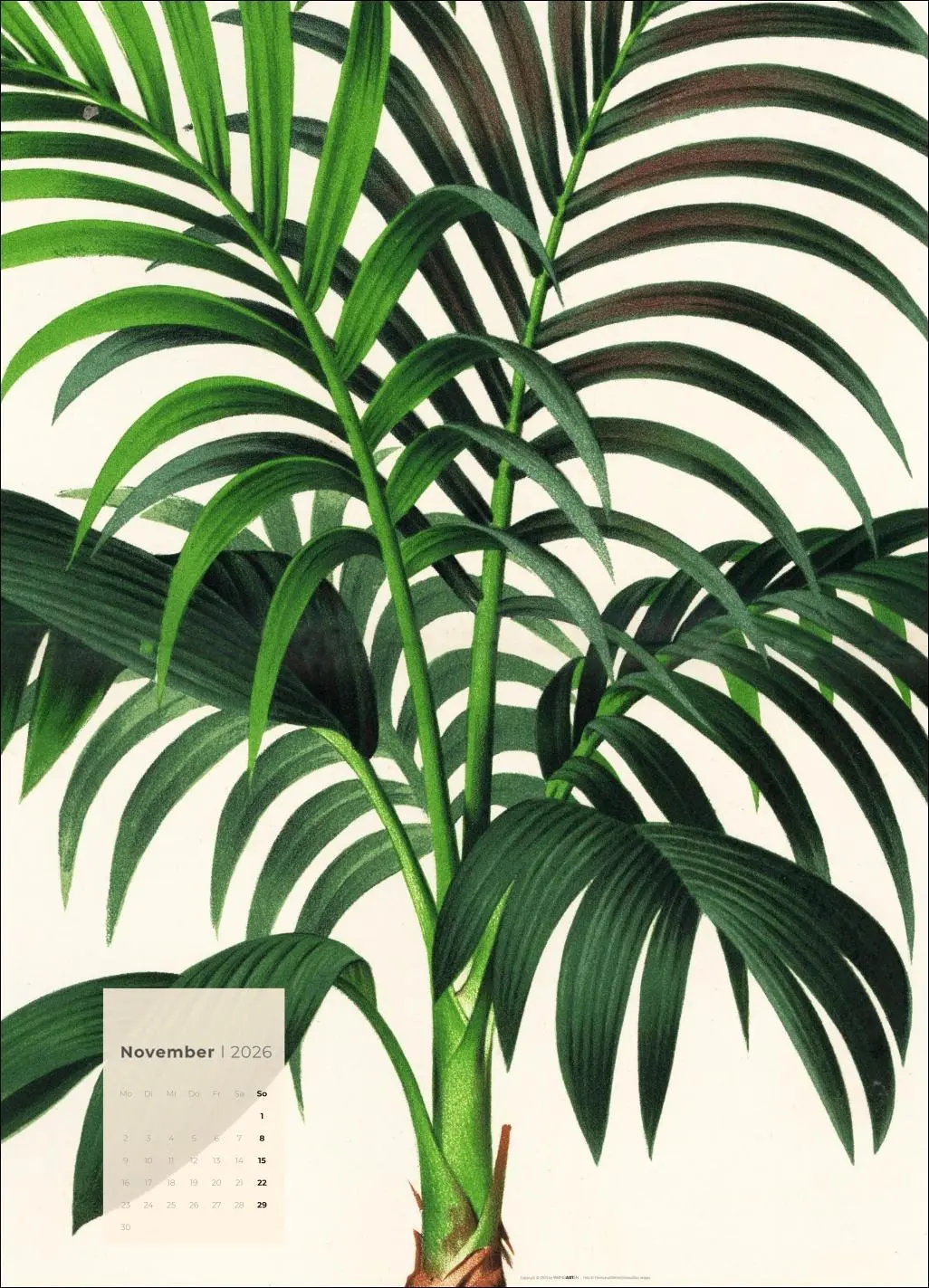 Bild: 9783839902899 | Botanicals Kalender 2026 | Kalender | Spiralbindung | 14 S. | Deutsch