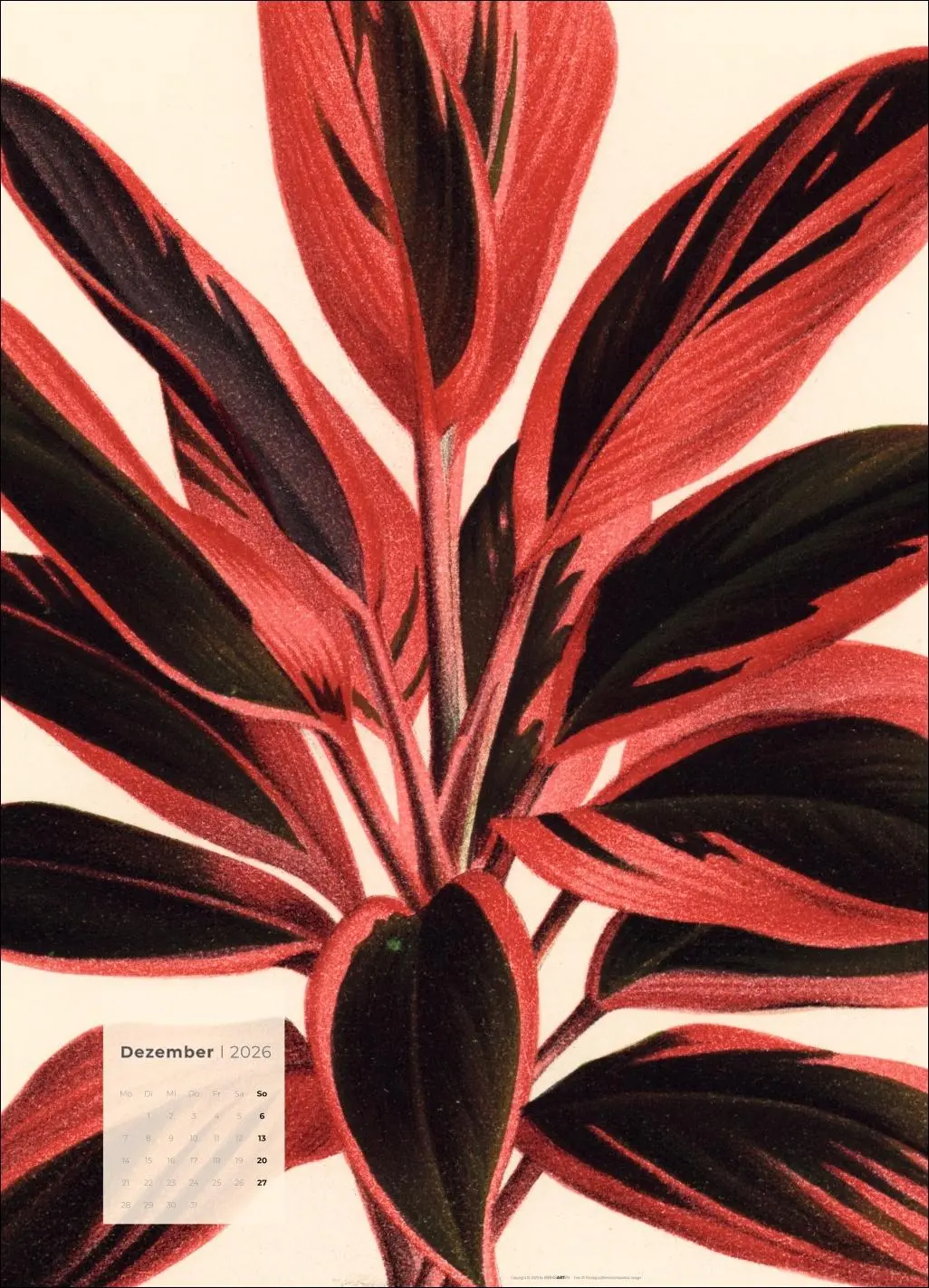 Bild: 9783839902899 | Botanicals Kalender 2026 | Kalender | Spiralbindung | 14 S. | Deutsch