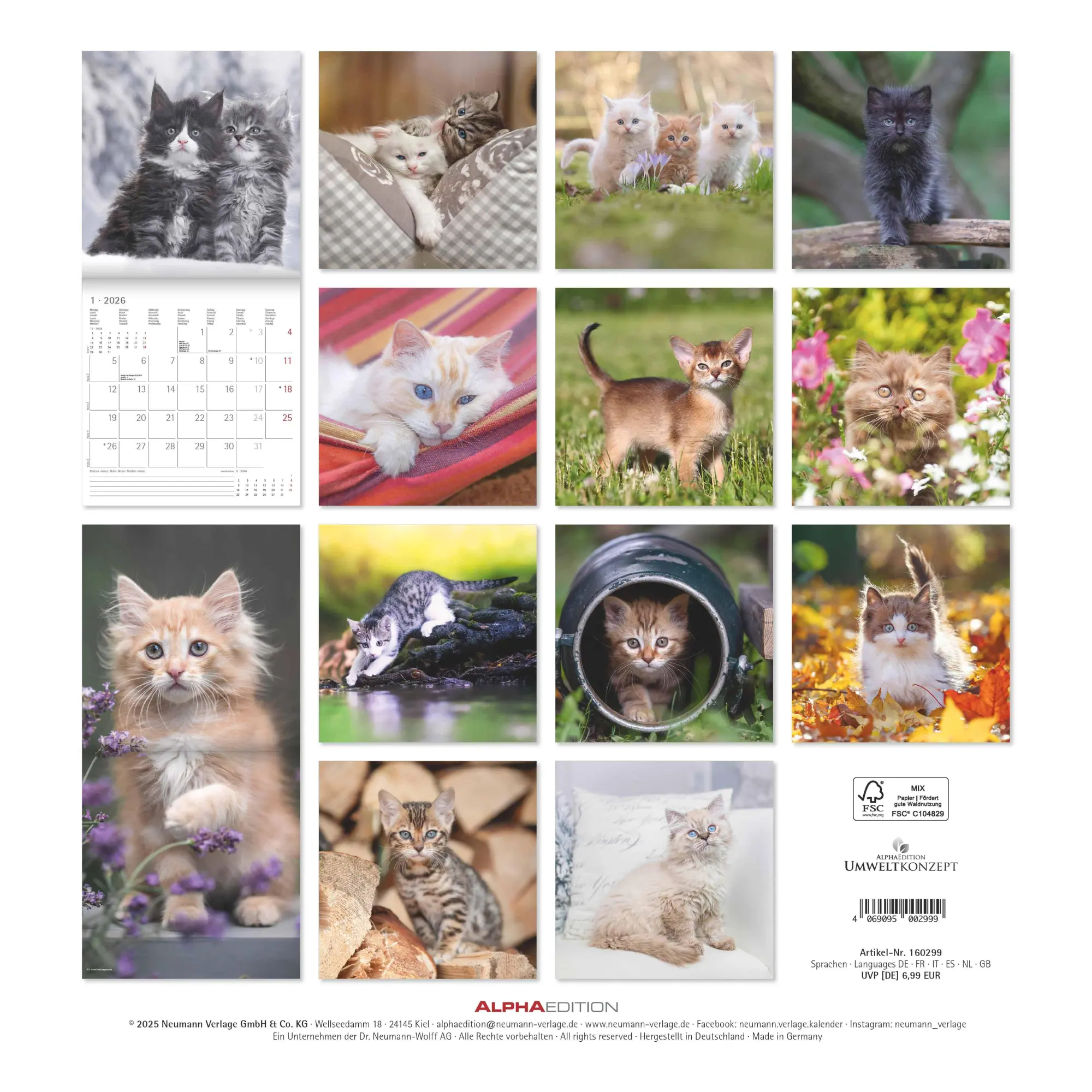 Rückseite: 4069095002999 | Samtpfötchen 2026 - Broschürenkalender 30x30 cm (30x60 geöffnet) -...