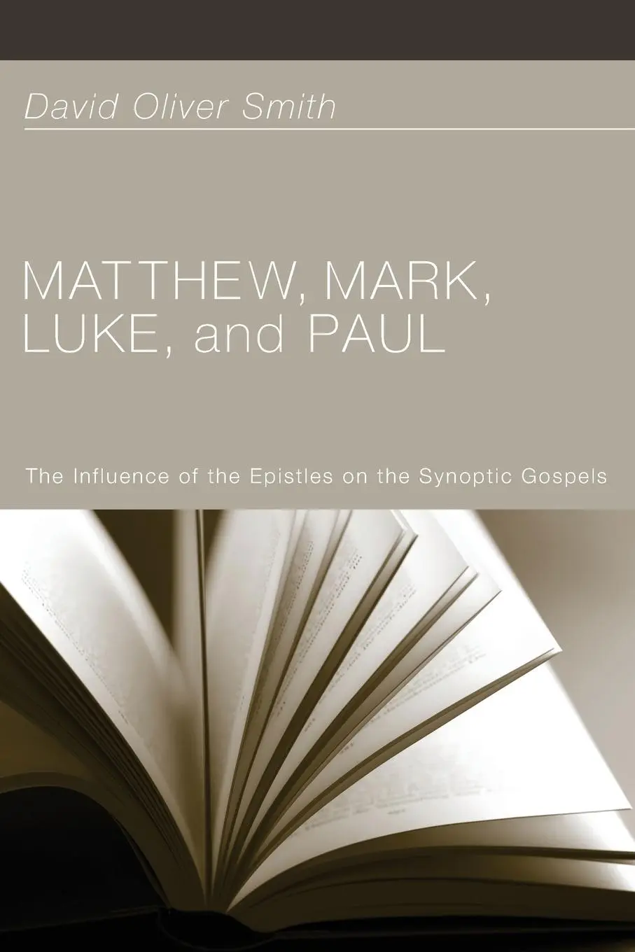 Cover: 9781610973199 | Matthew, Mark, Luke, and Paul | David Oliver Smith | Taschenbuch