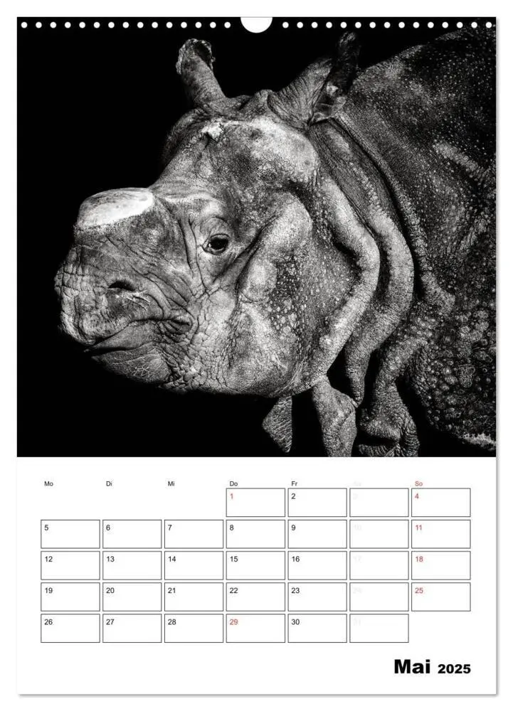 Bild: 9783457013199 | Charakterköpfe aus der Welt der Tiere (Wandkalender 2025 DIN A3...