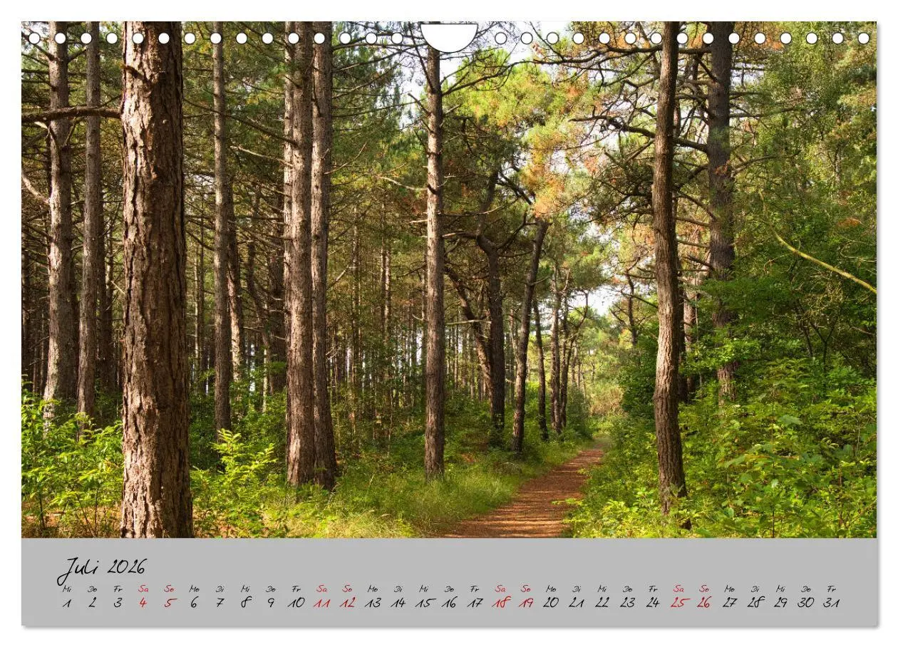 Bild: 9783457563199 | Streifzug durch Nordholland (Wandkalender 2026 DIN A4 quer),...