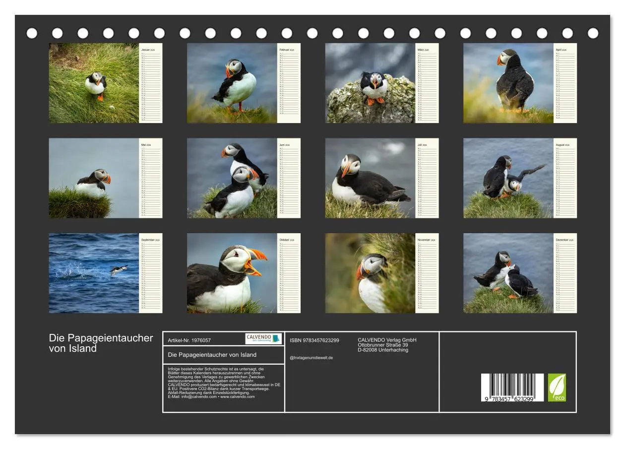Bild: 9783457623299 | Die Papageientaucher von Island (Tischkalender 2026 DIN A5 quer),...