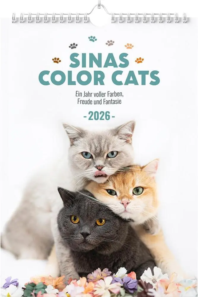 Cover: 9783989353299 | Sinas Color Cats - Ein Jahr voller Farben, Freude und Fantasie | 14 S.