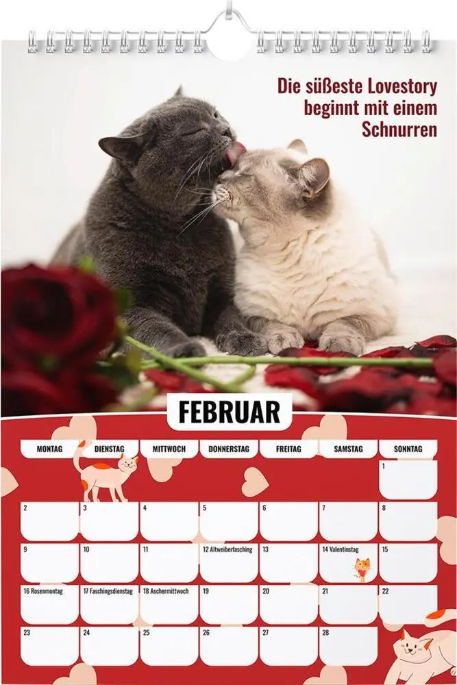 Bild: 9783989353299 | Sinas Color Cats - Ein Jahr voller Farben, Freude und Fantasie | 14 S.