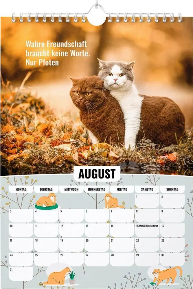 Bild: 9783989353299 | Sinas Color Cats - Ein Jahr voller Farben, Freude und Fantasie | 14 S.