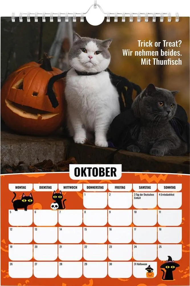 Bild: 9783989353299 | Sinas Color Cats - Ein Jahr voller Farben, Freude und Fantasie | 14 S.