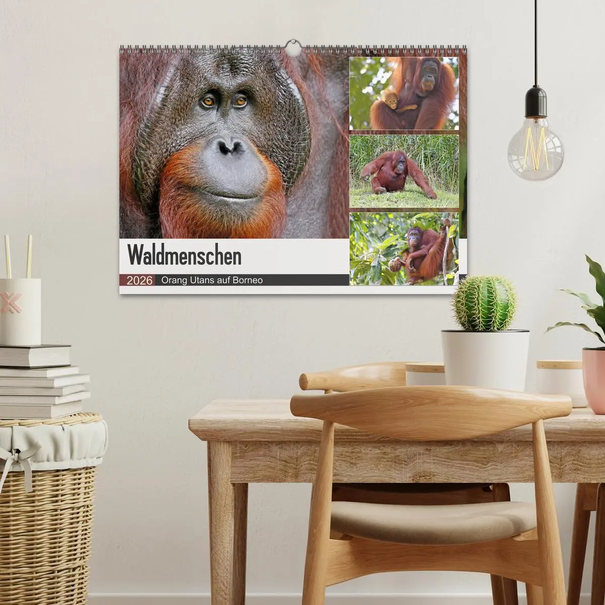 Bild: 9783457853399 | Waldmenschen - Orang Utans auf Borneo (Wandkalender 2026 DIN A3...