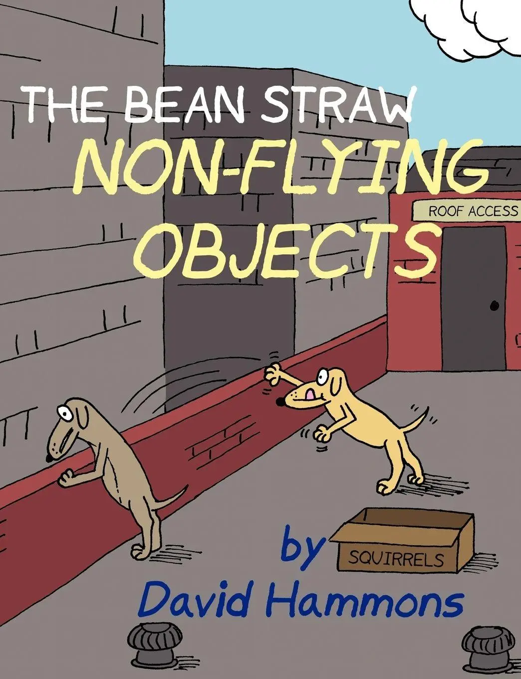 Cover: 9780615163499 | The Bean Straw | Non-Flying Objects | David Hammons | Taschenbuch