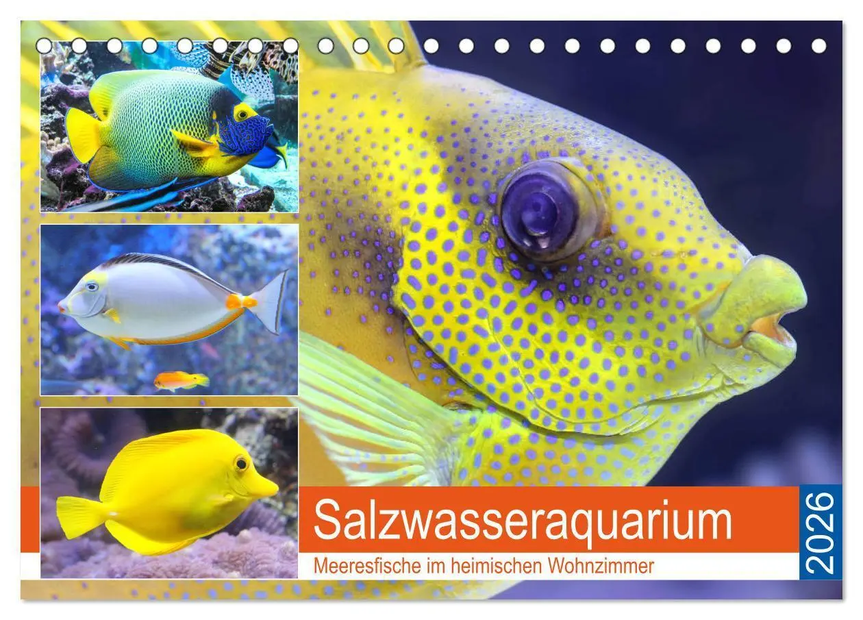 Cover: 9783457773499 | Salzwasseraquarium. Meeresfische im heimischen Wohnzimmer...