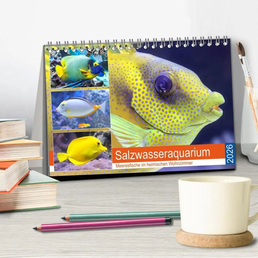 Bild: 9783457773499 | Salzwasseraquarium. Meeresfische im heimischen Wohnzimmer...