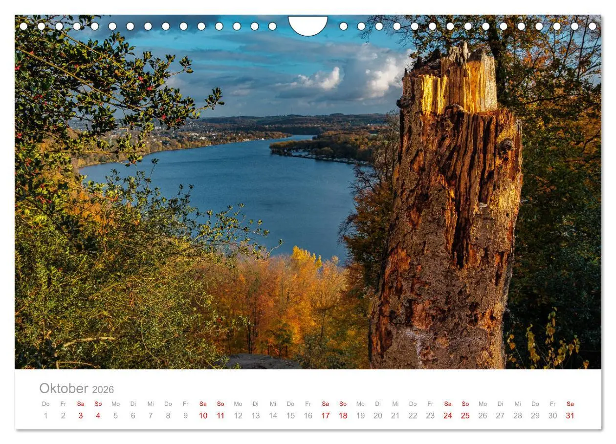 Bild: 9783457913499 | Buntes Essen 2026 (Wandkalender 2026 DIN A4 quer), CALVENDO...