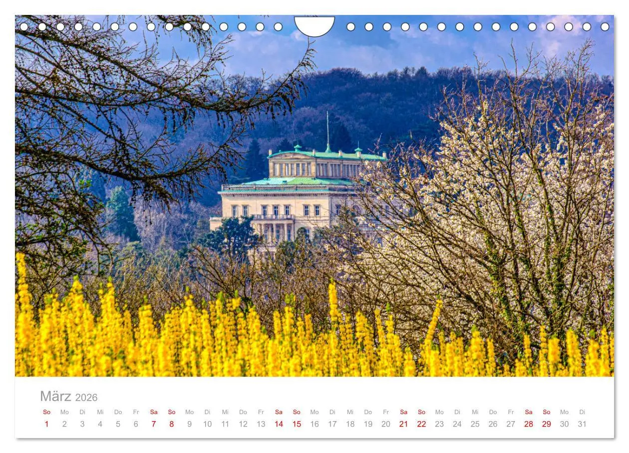 Bild: 9783457913499 | Buntes Essen 2026 (Wandkalender 2026 DIN A4 quer), CALVENDO...