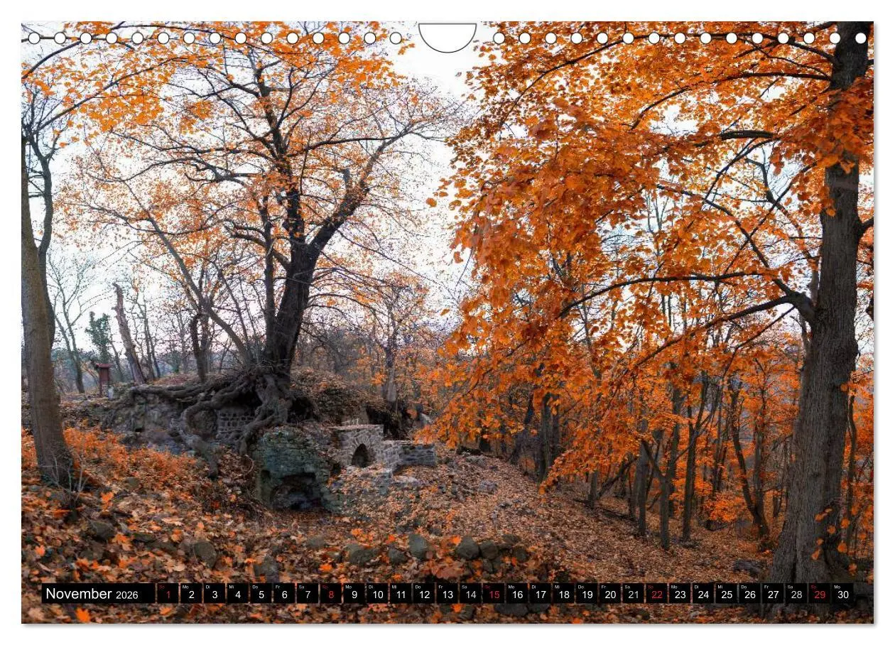 Bild: 9783516003499 | Der Harz einfach magisch (Wandkalender 2026 DIN A4 quer), CALVENDO...