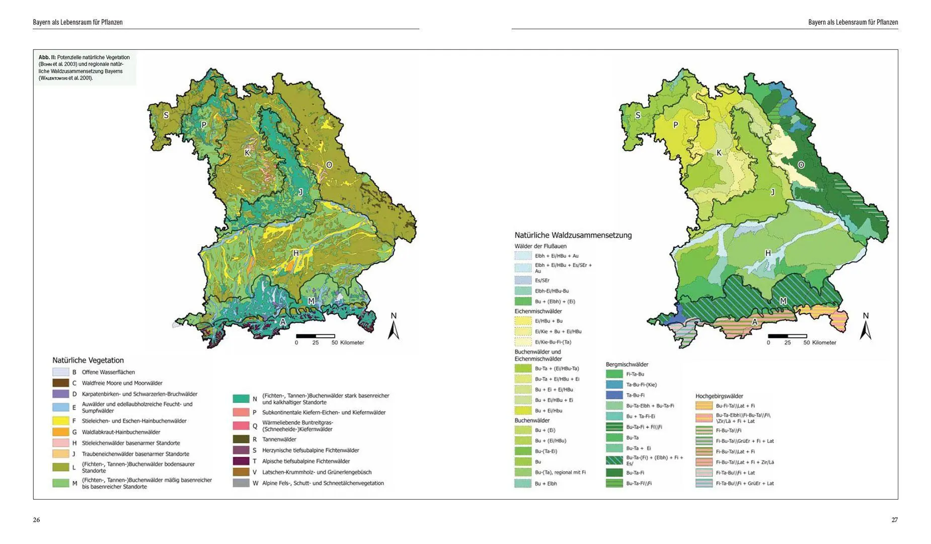 Bild: 9783258083599 | Flora von Bayern | Lenz Meierott (u. a.) | Buch | Schuber | 2880 S. Bild: 9783258083599 | Flora von Bayern | Lenz Meierott (u. a.) | Buch | Schuber | 2880 S.