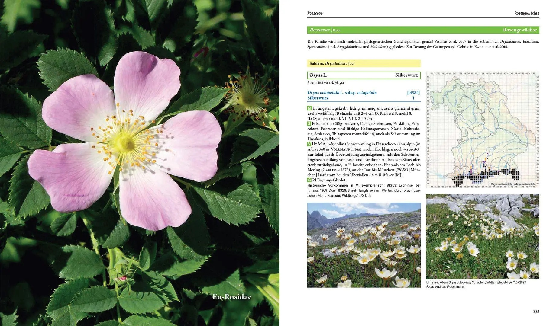 Bild: 9783258083599 | Flora von Bayern | Lenz Meierott (u. a.) | Buch | Schuber | 2880 S. Bild: 9783258083599 | Flora von Bayern | Lenz Meierott (u. a.) | Buch | Schuber | 2880 S.