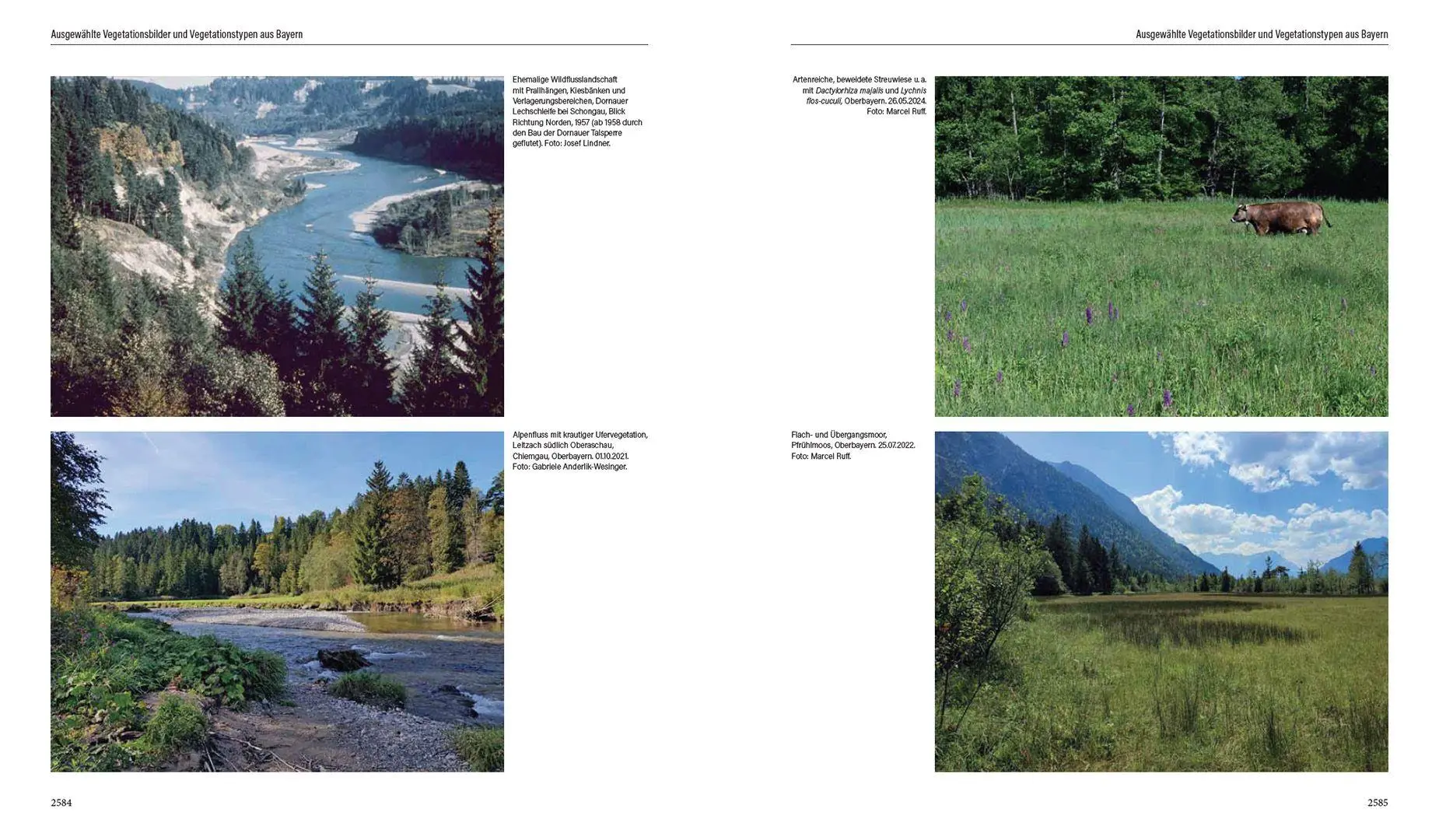 Bild: 9783258083599 | Flora von Bayern | Lenz Meierott (u. a.) | Buch | Schuber | 2880 S. Bild: 9783258083599 | Flora von Bayern | Lenz Meierott (u. a.) | Buch | Schuber | 2880 S.