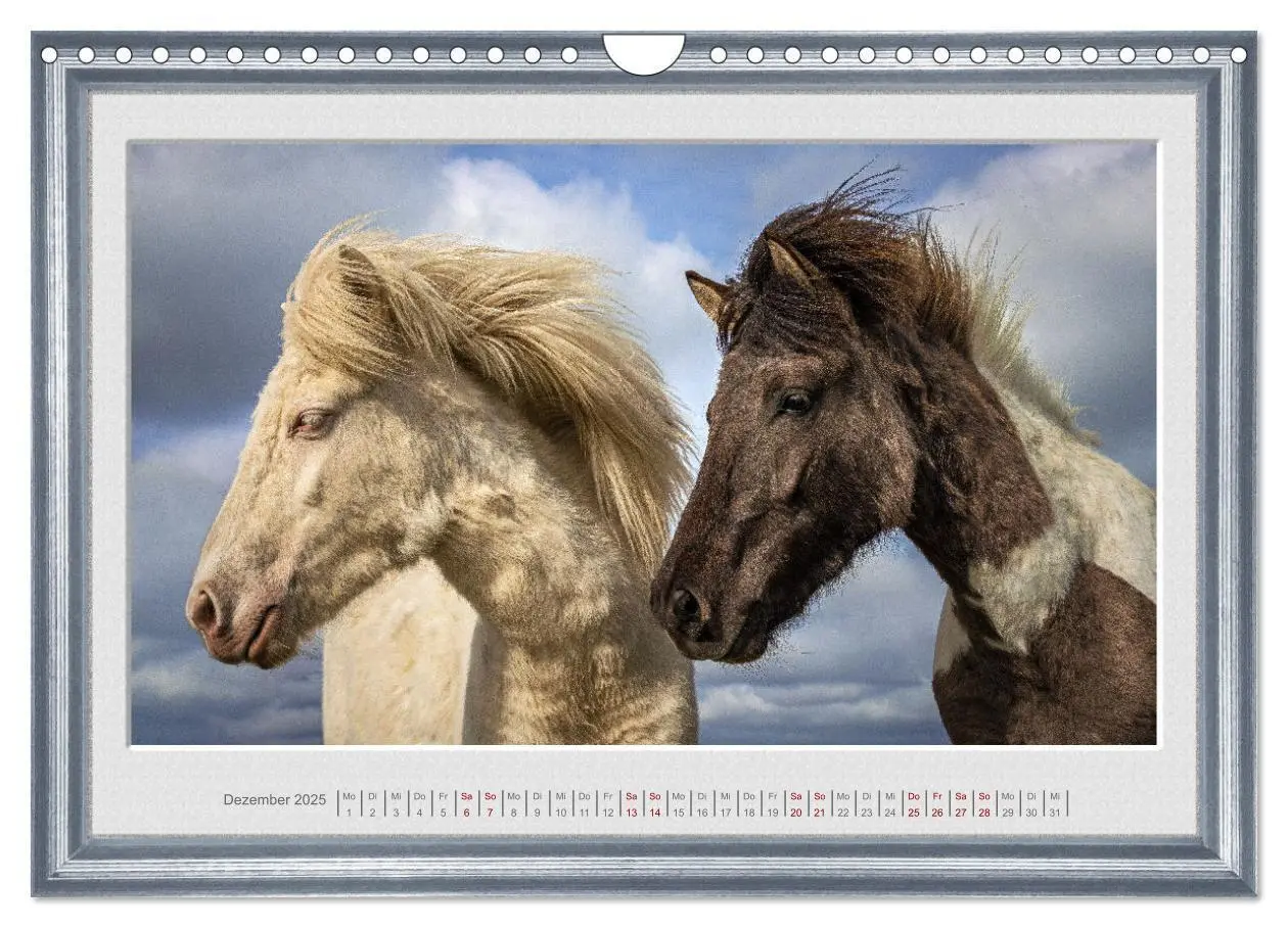 Bild: 9783383963599 | Ich bin ein Isländer (Wandkalender 2025 DIN A4 quer), CALVENDO...
