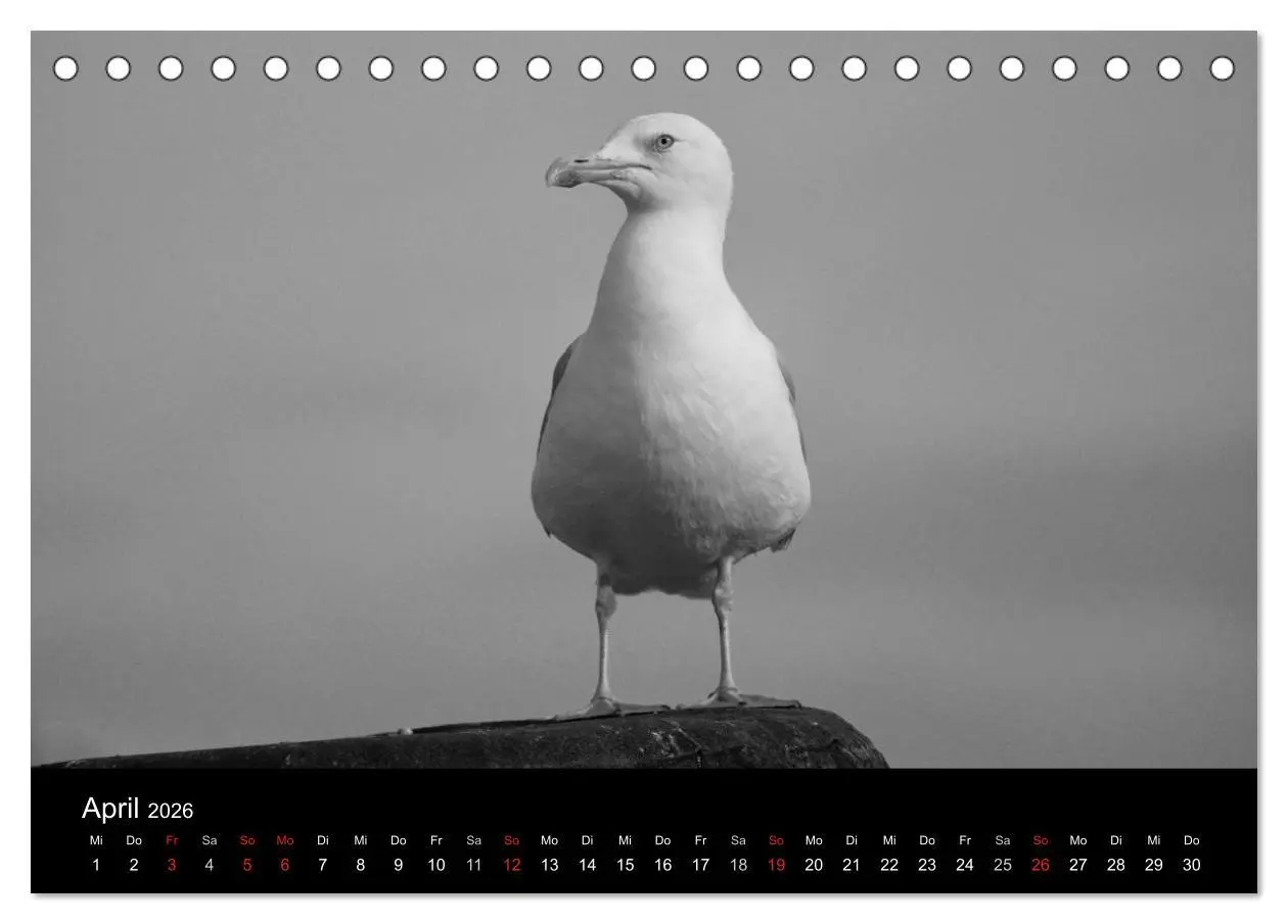 Bild: 9783516163599 | Willkommen in Cuxhaven (Tischkalender 2026 DIN A5 quer), CALVENDO...