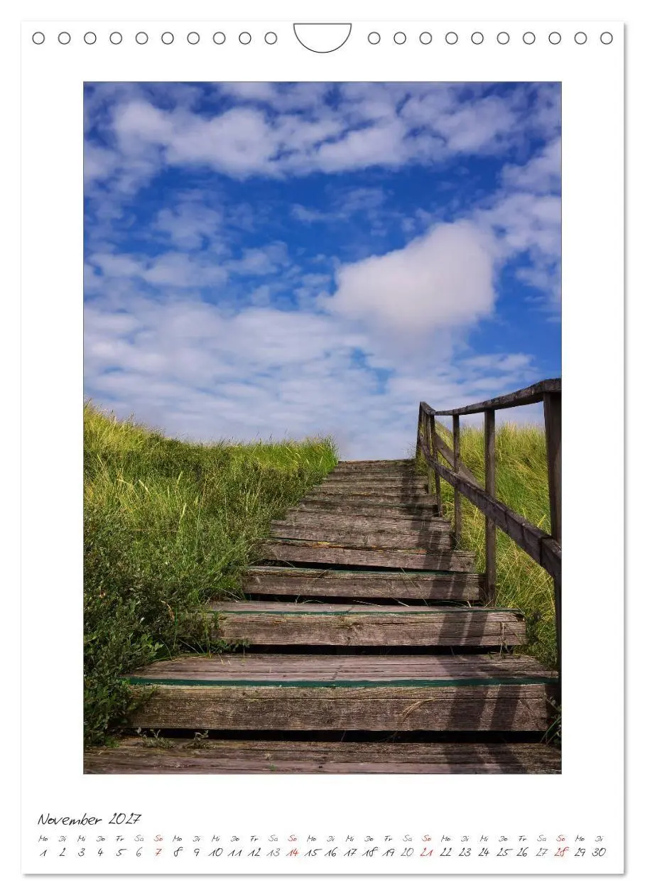 Bild: 9783594213599 | Insel Amrum (Wandkalender 2027 DIN A4 hoch), CALVENDO Monatskalender