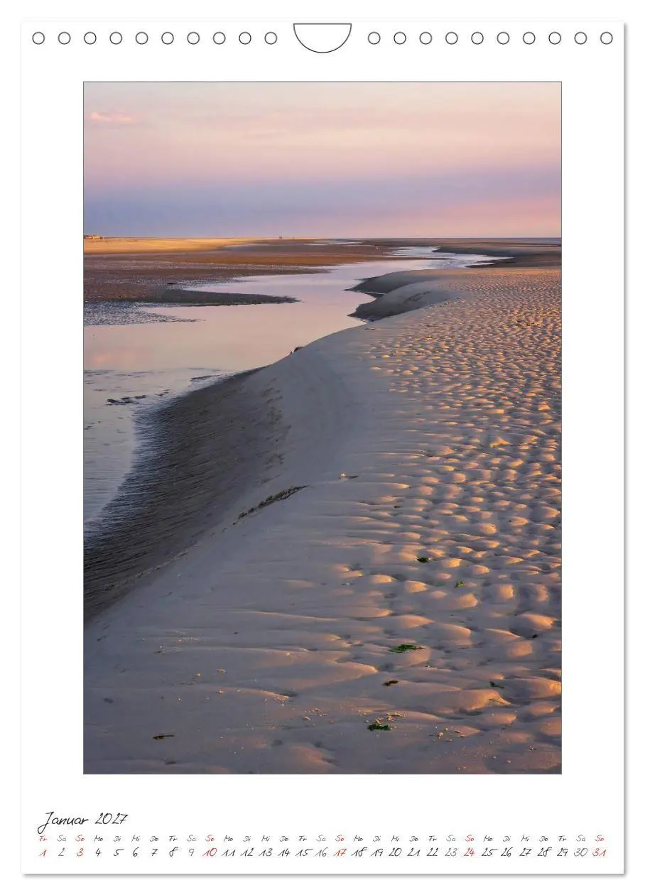 Bild: 9783594213599 | Insel Amrum (Wandkalender 2027 DIN A4 hoch), CALVENDO Monatskalender