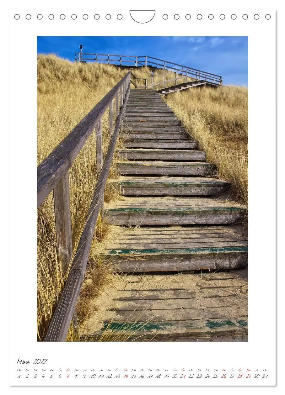 Bild: 9783594213599 | Insel Amrum (Wandkalender 2027 DIN A4 hoch), CALVENDO Monatskalender