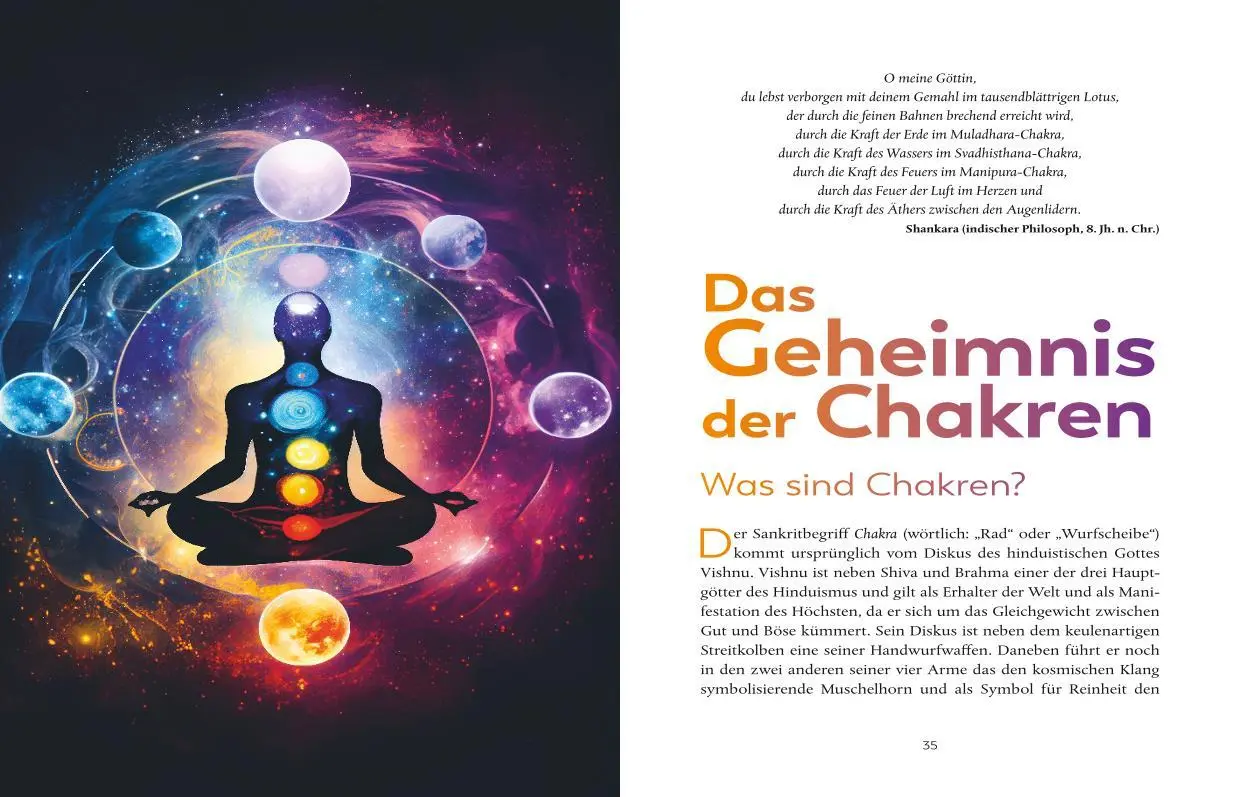 Bild: 9783833893599 | Meine Energiewende | Gaby Köster | Buch | 240 S. | Deutsch | 2024