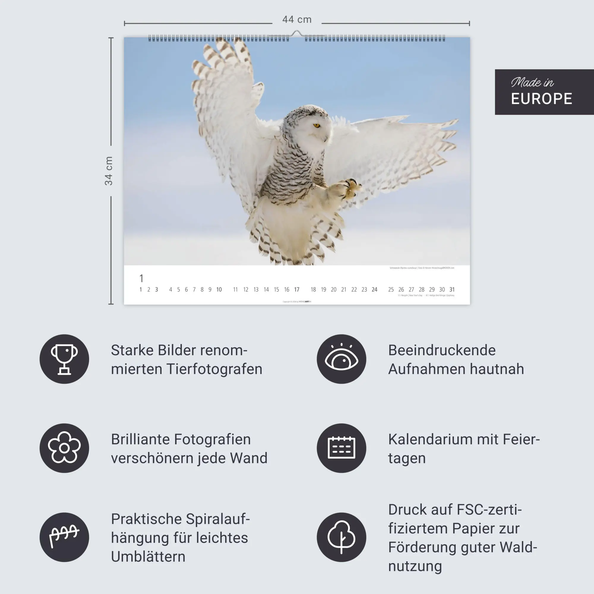Bild: 9783839903599 | Eulen Kalender 2027 | Kalender | Tierkalender Weingarten | 14 S.