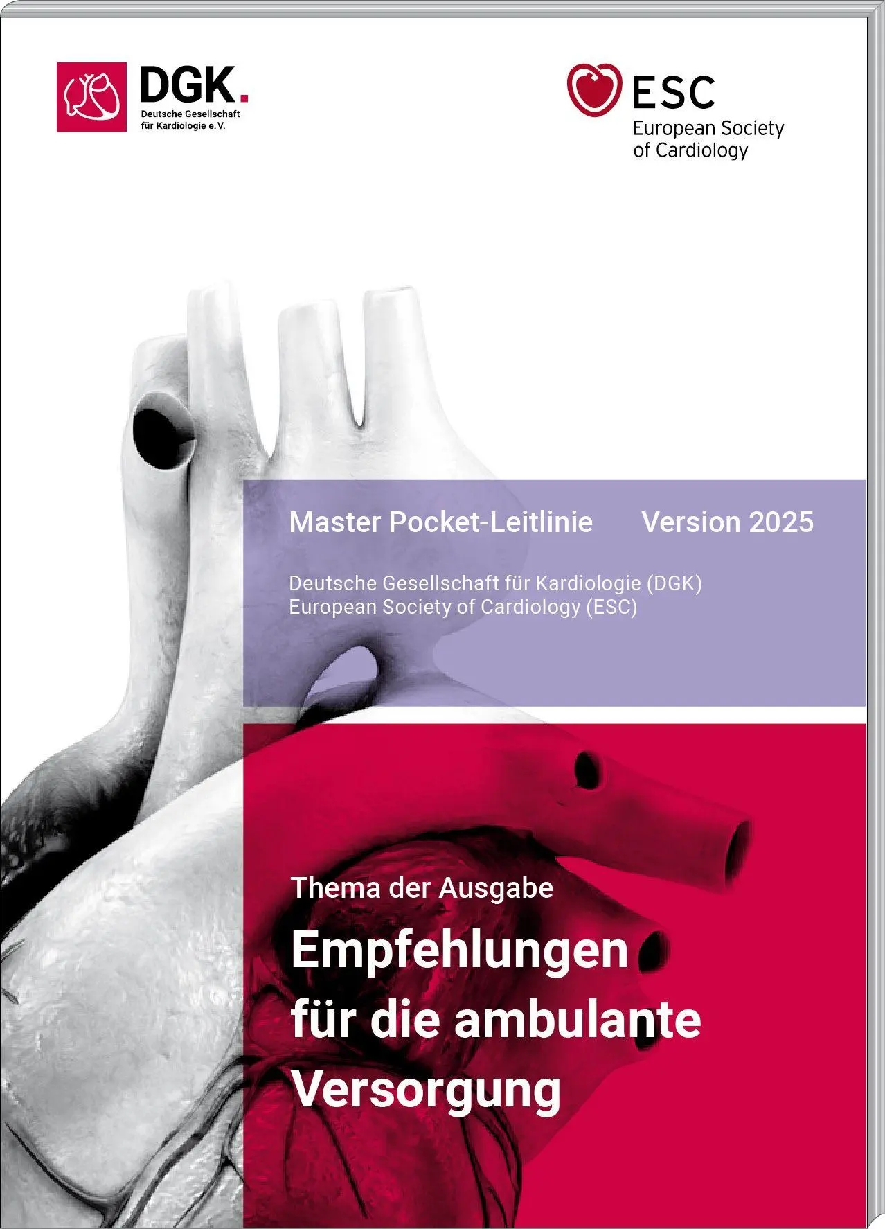 Cover: 9783898623599 | Empfehlungen für die ambulante Versorgung | Deutsche Gesellschaft