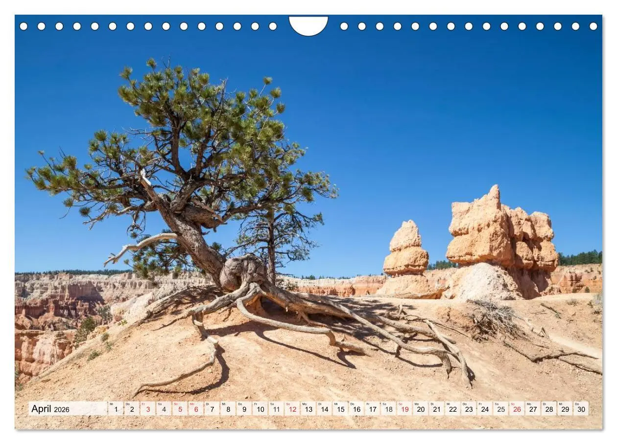Bild: 9783516213799 | ARIZONA UND UTAH Ein einzigartiges Erlebnis (Wandkalender 2026 DIN...