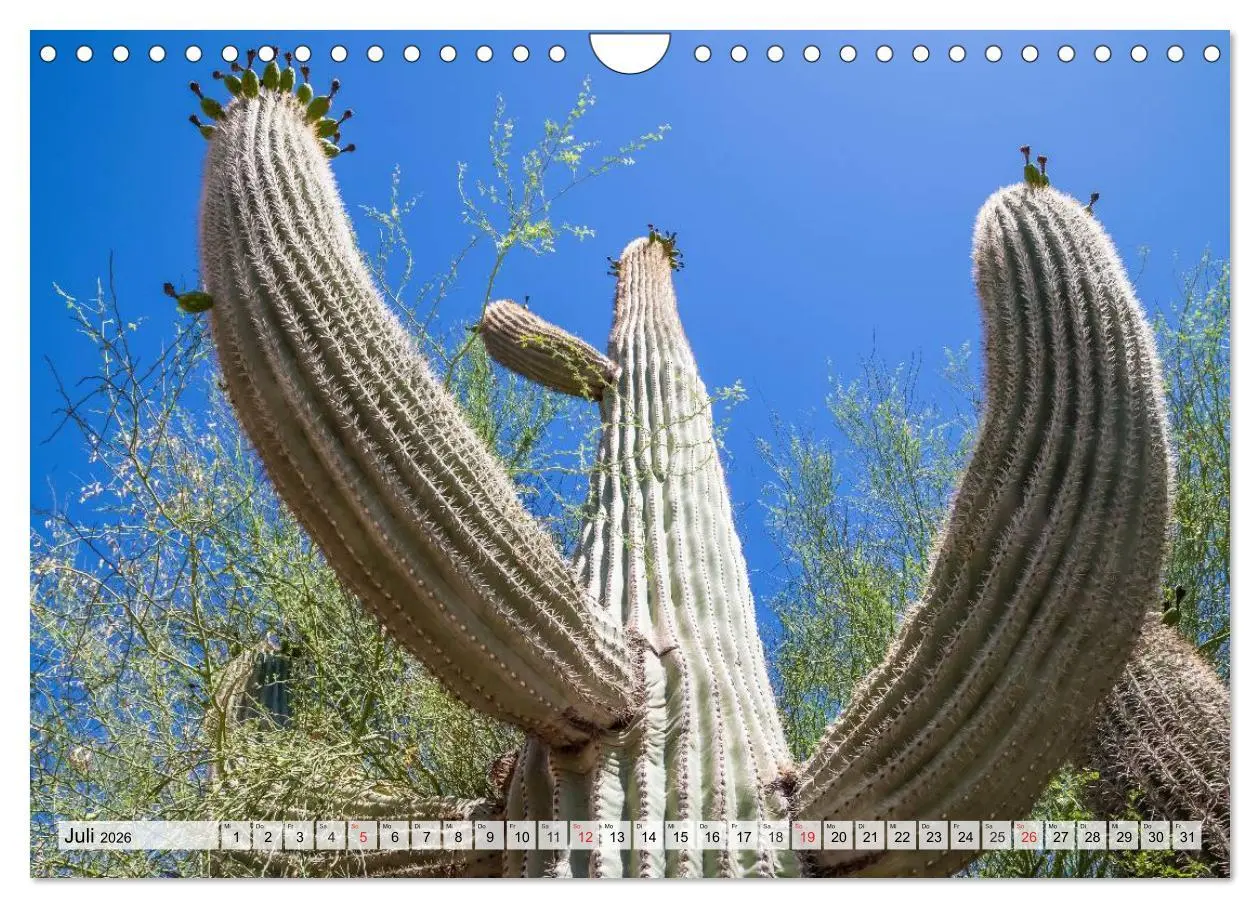 Bild: 9783516213799 | ARIZONA UND UTAH Ein einzigartiges Erlebnis (Wandkalender 2026 DIN...