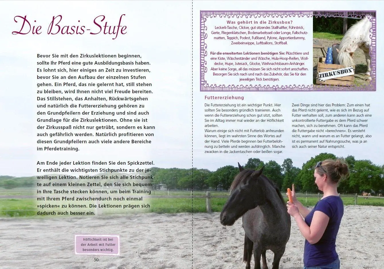 Bild: 9783275023899 | Zirkuslektionen mit Spaß und System | Annika Markgraf | Taschenbuch