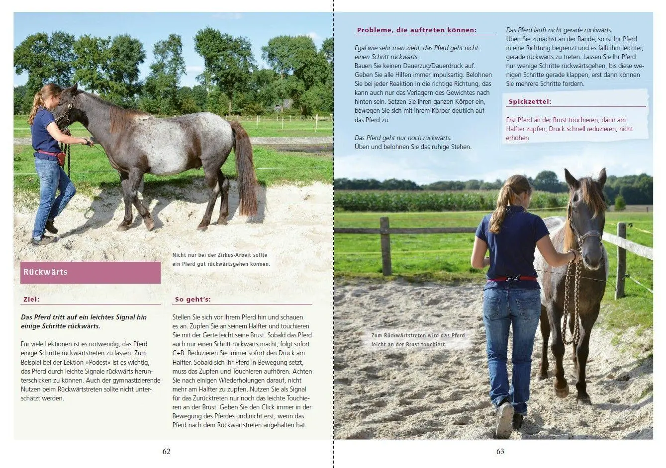 Bild: 9783275023899 | Zirkuslektionen mit Spaß und System | Annika Markgraf | Taschenbuch