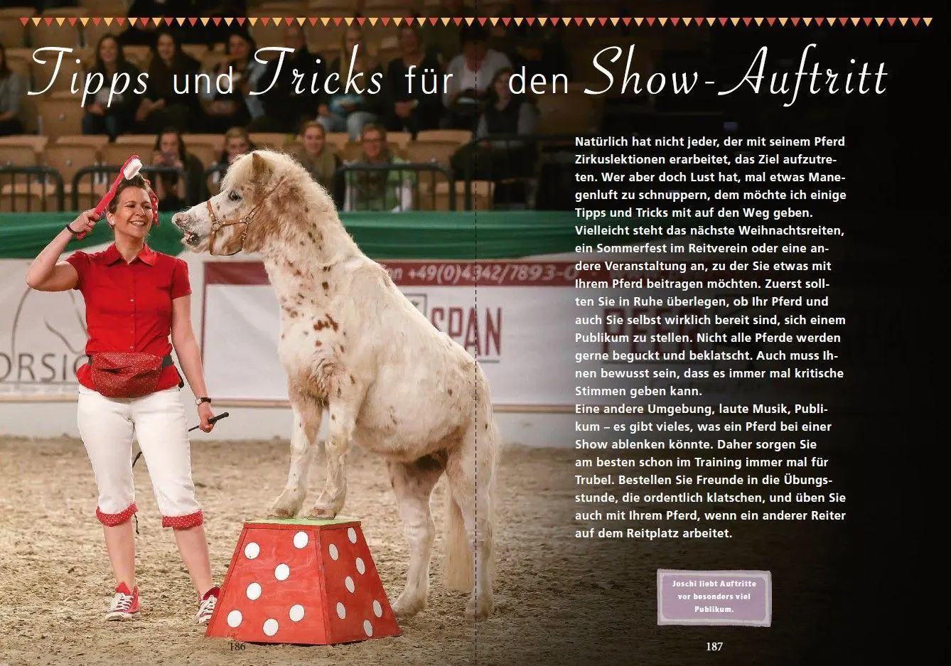 Bild: 9783275023899 | Zirkuslektionen mit Spaß und System | Annika Markgraf | Taschenbuch