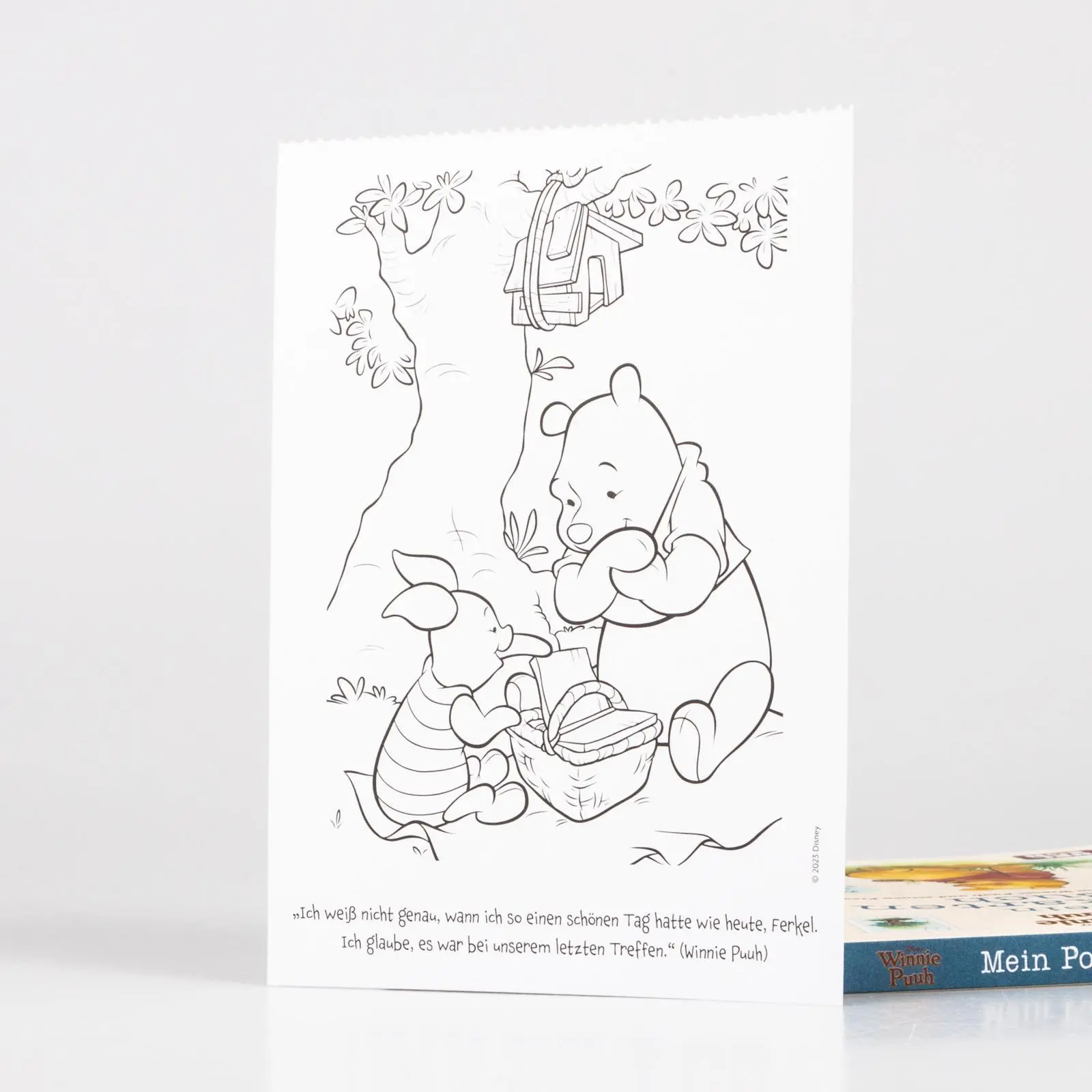 Bild: 9783845123899 | Winnie Puuh: Mein Postkarten-Buch | Taschenbuch | Disney Winnie Puuh