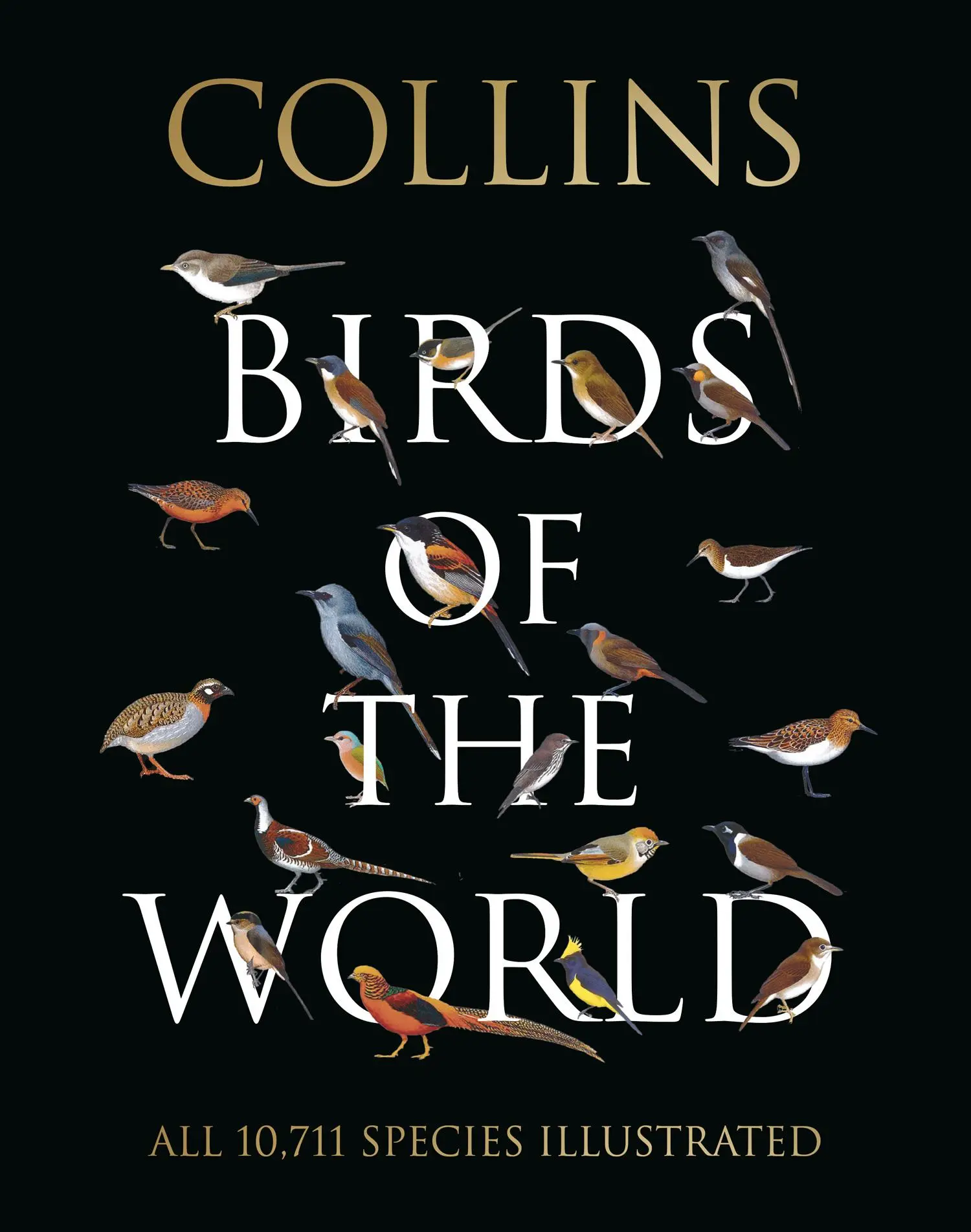 Cover: 9780008173999 | Collins Birds of the World | Aldo A. Chiappe (u. a.) | Buch | Gebunden Cover: 9780008173999 | Collins Birds of the World | Aldo A. Chiappe (u. a.) | Buch | Gebunden