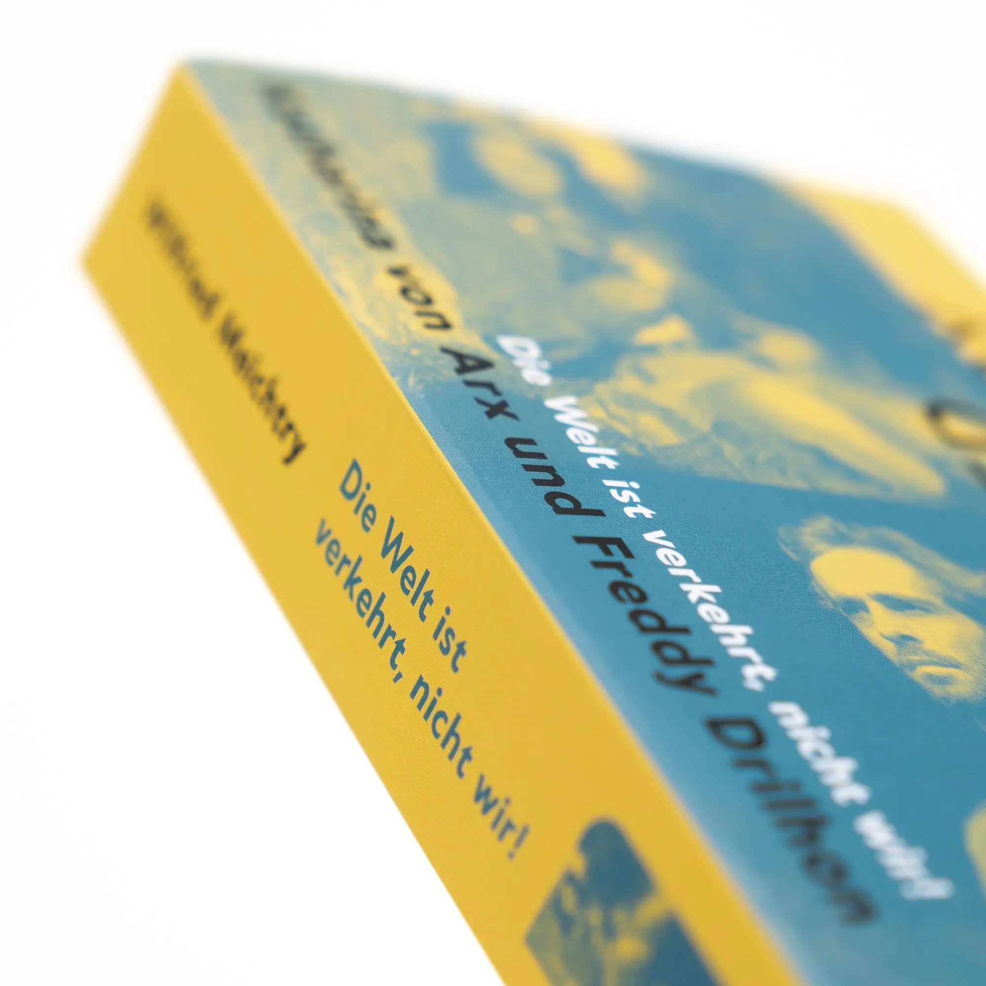 Bild: 9783312013999 | Die Welt ist verkehrt, nicht wir! | Wilfried Meichtry | Taschenbuch
