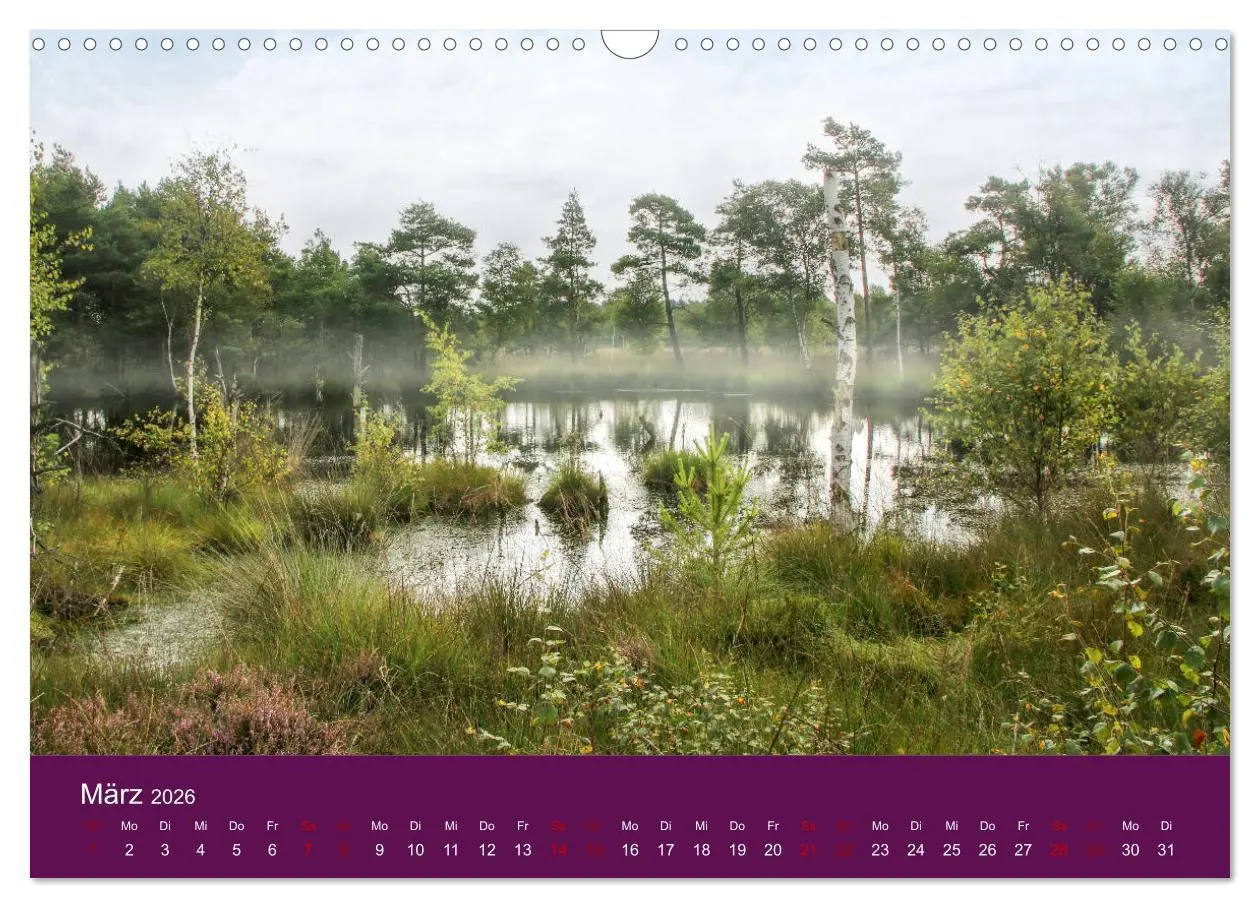 Bild: 9783457893999 | Die Heide blüht (Wandkalender 2026 DIN A3 quer), CALVENDO...