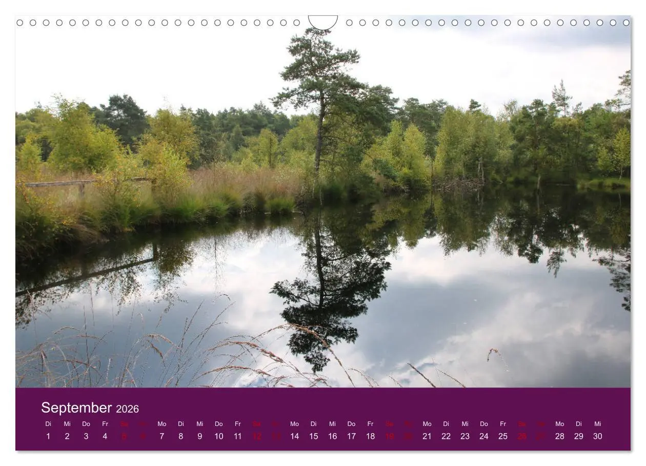 Bild: 9783457893999 | Die Heide blüht (Wandkalender 2026 DIN A3 quer), CALVENDO...
