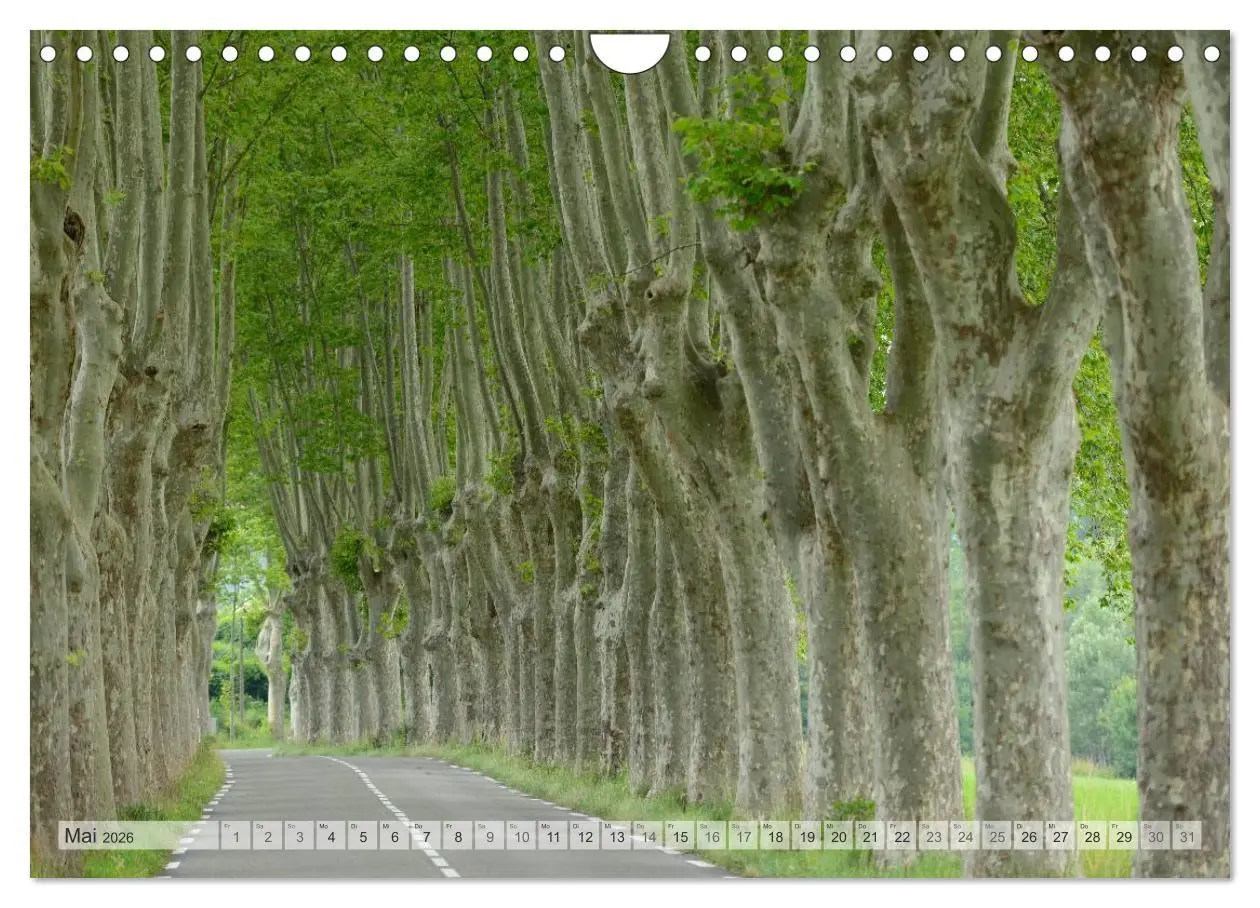 Bild: 9783516123999 | Provence von Christian Heeb (Wandkalender 2026 DIN A4 quer),...