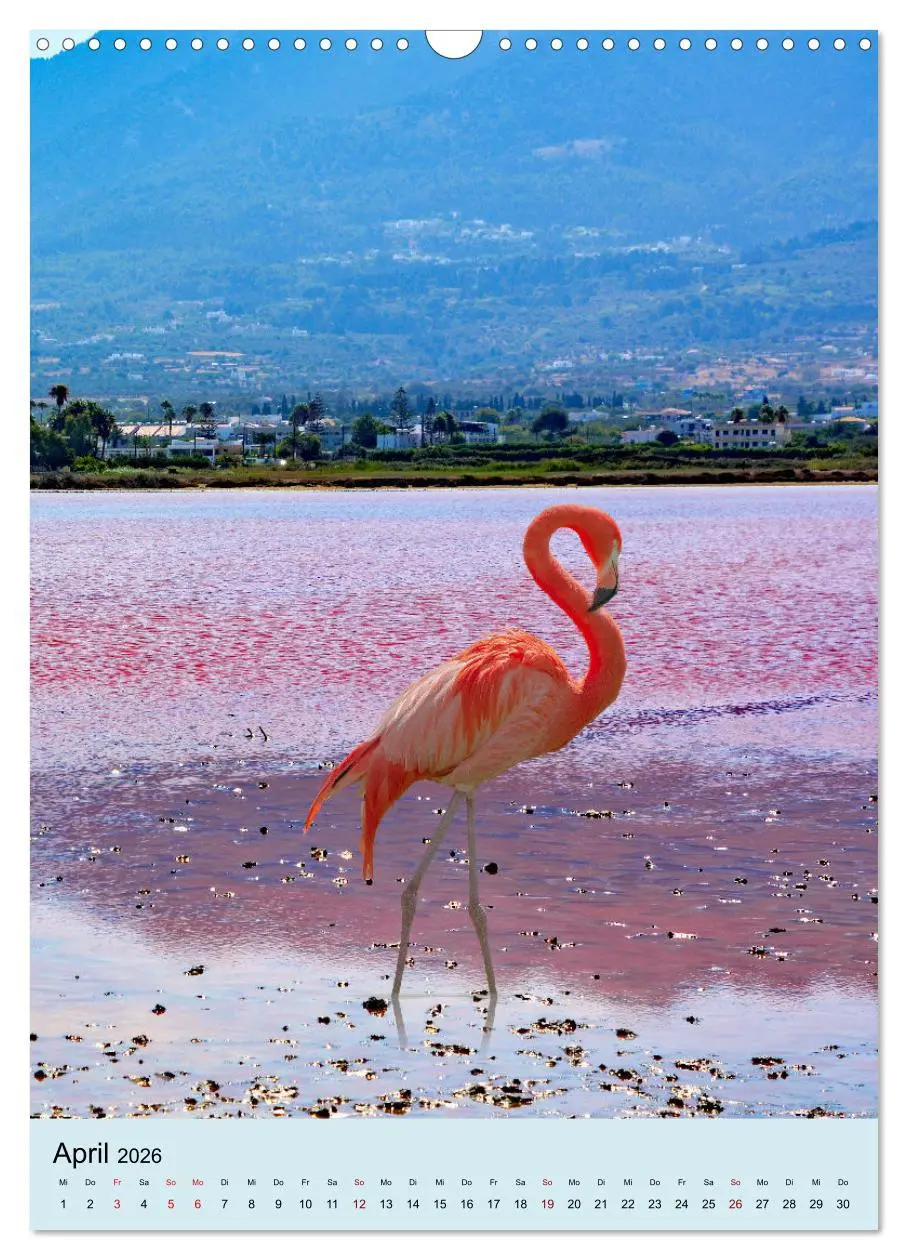 Bild: 9783516293999 | Drei-Insel-Tour (Wandkalender 2026 DIN A3 hoch), CALVENDO...