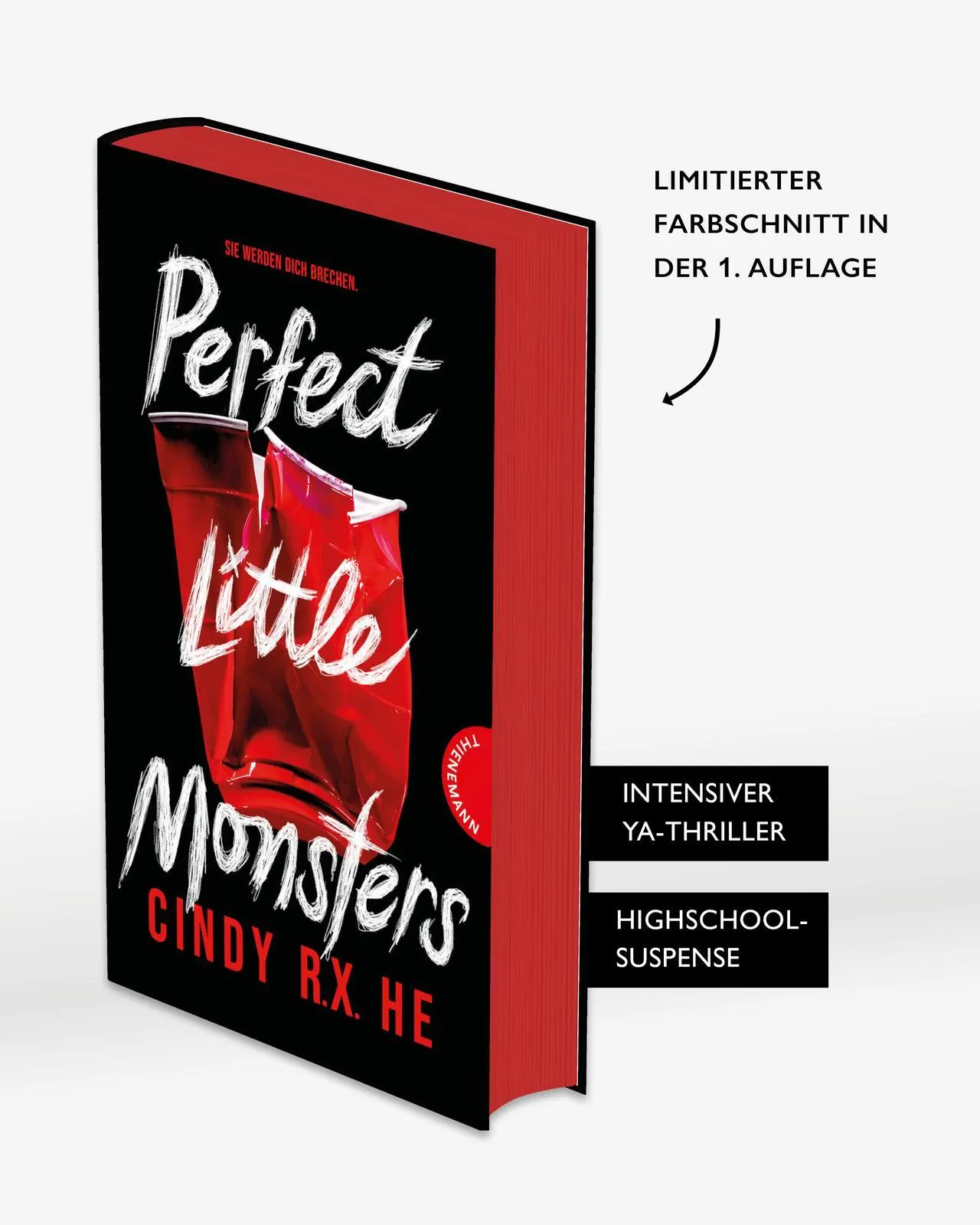 Bild: 9783522203999 | Perfect Little Monsters | Cindy R. X. He | Buch | 384 S. | Deutsch