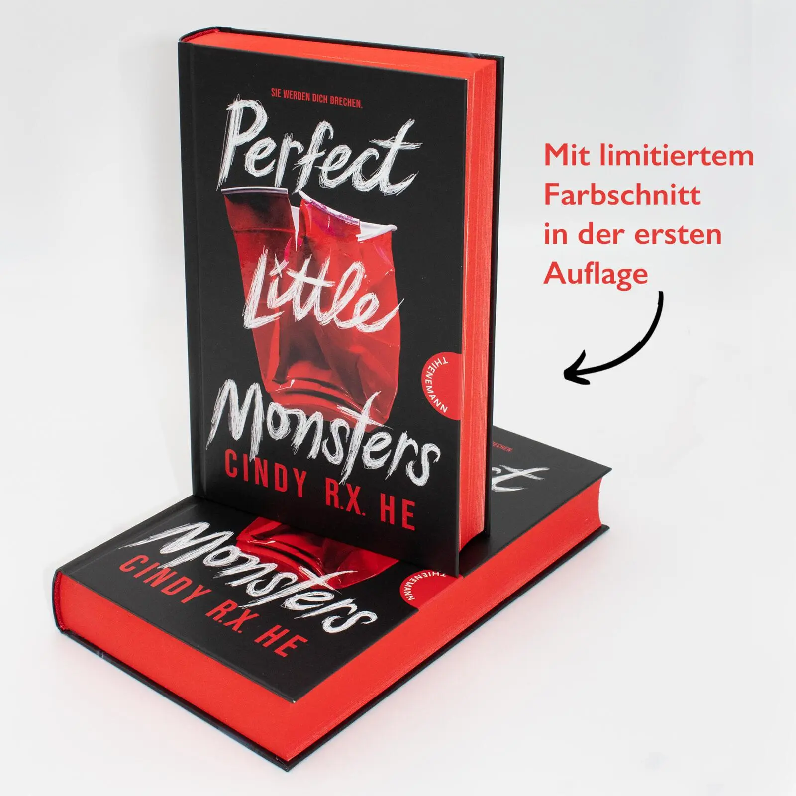 Bild: 9783522203999 | Perfect Little Monsters | Cindy R. X. He | Buch | 384 S. | Deutsch