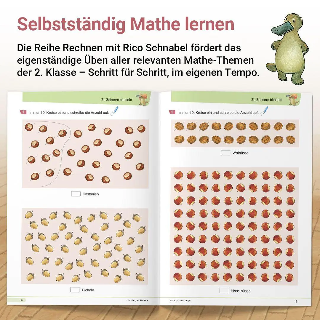 Bild: 9783619253999 | Rechnen mit Rico Schnabel 2, Heft 1 - Selbstständig das Addieren...