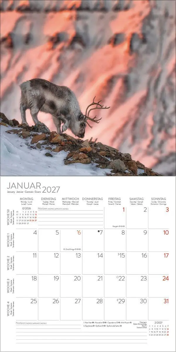 Bild: 9783819303999 | Moments in Nature 2027 | Verlag Korsch | Kalender | 13 S. | Deutsch