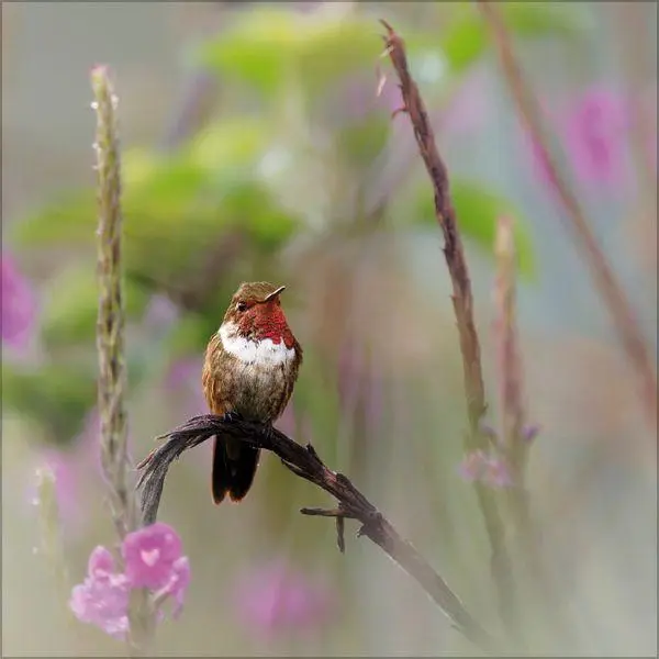 Bild: 9783819303999 | Moments in Nature 2027 | Verlag Korsch | Kalender | 13 S. | Deutsch