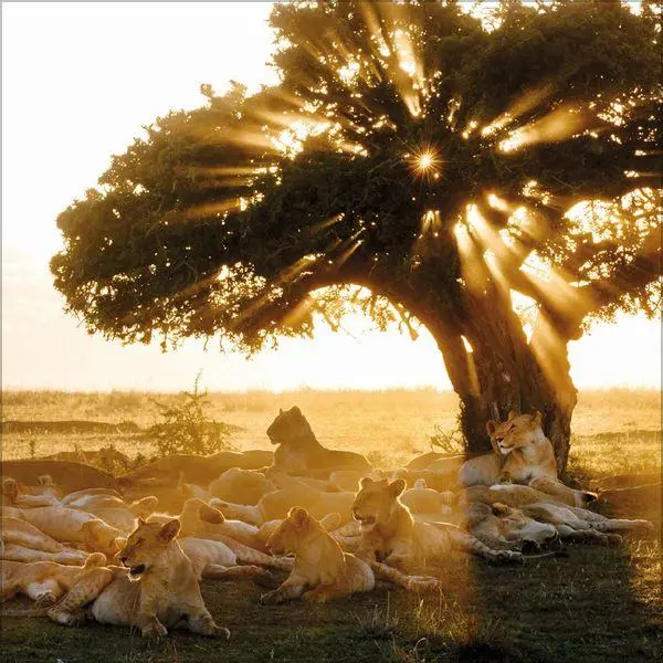 Bild: 9783819303999 | Moments in Nature 2027 | Verlag Korsch | Kalender | 13 S. | Deutsch