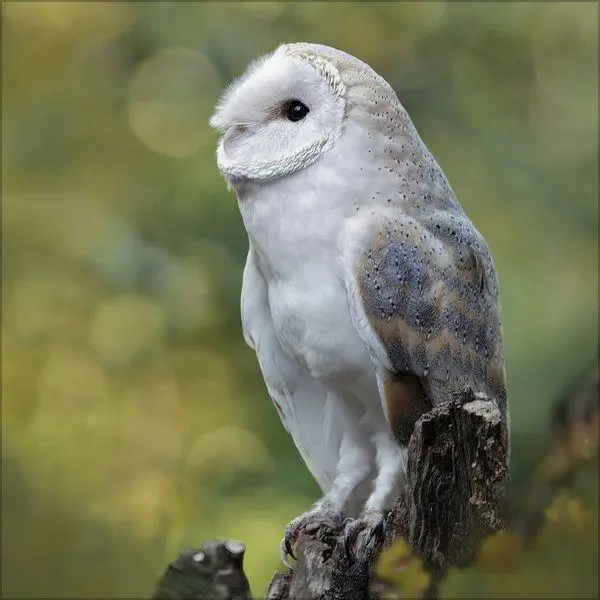 Bild: 9783819303999 | Moments in Nature 2027 | Verlag Korsch | Kalender | 13 S. | Deutsch